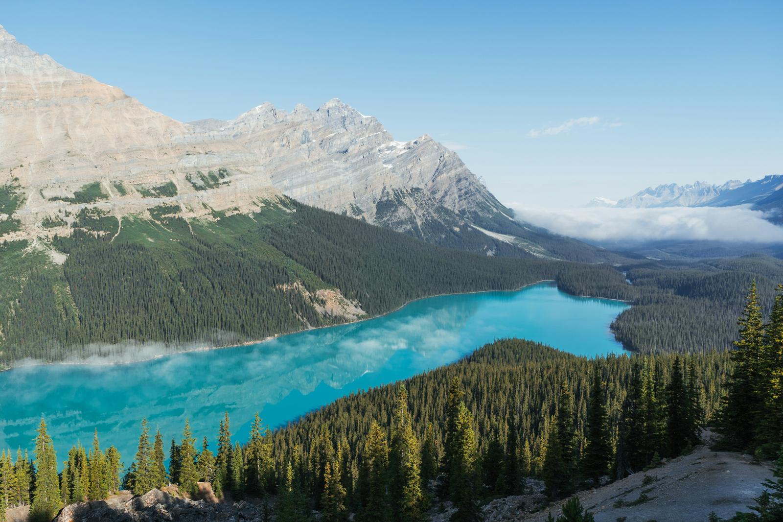Peyto Lake aerial view, Canadian Rockies, British Columbia
